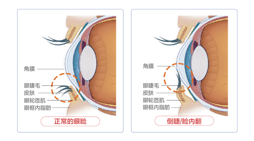 微信圖片_20250813145904 微信圖片_20250813145904